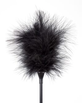 ESPANADOR DE PLUMAS E CHICOTE PRETO SECRET PLAY